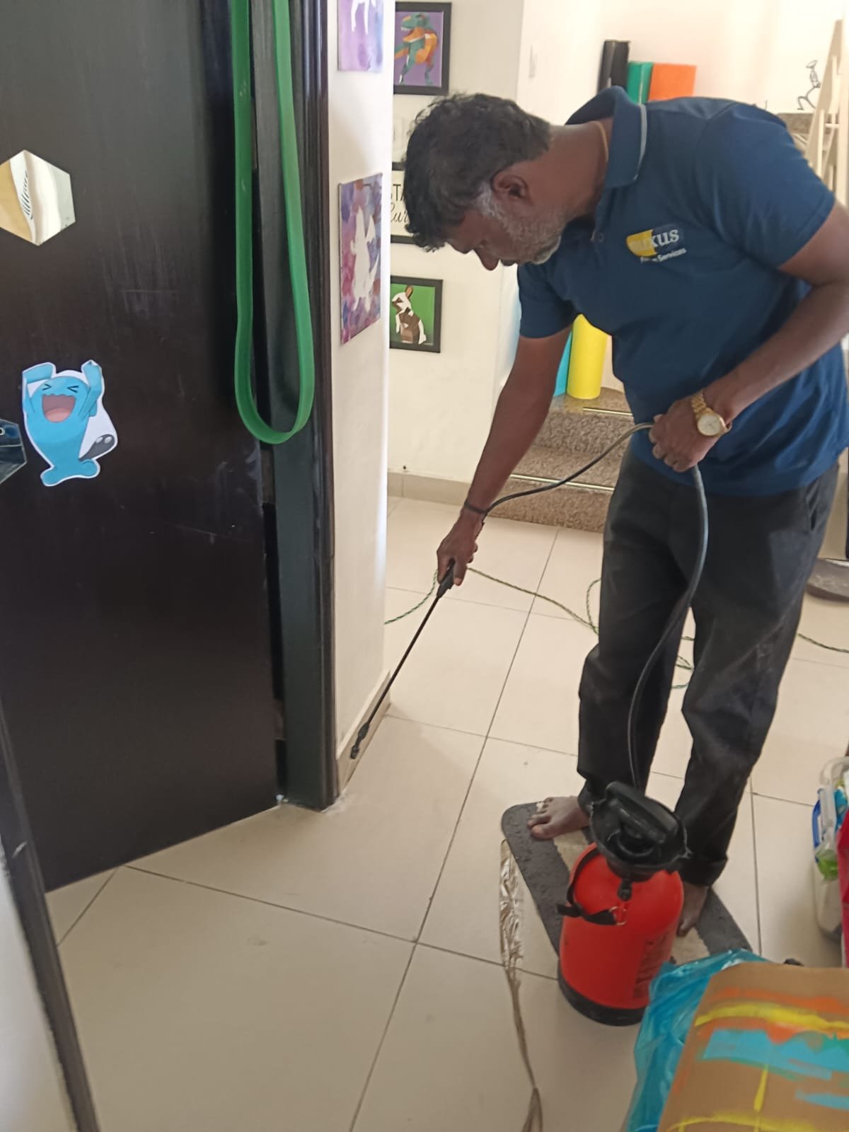 Pre/Post Construction Anti-Termite Treatment by Nuxus Pest Control