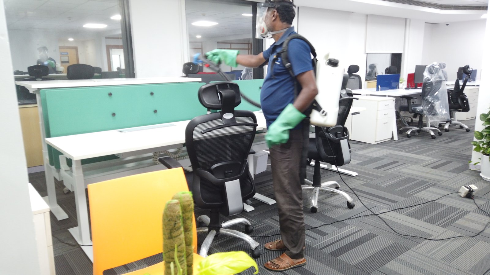Commercial Pest Control by Nuxus Pest Control